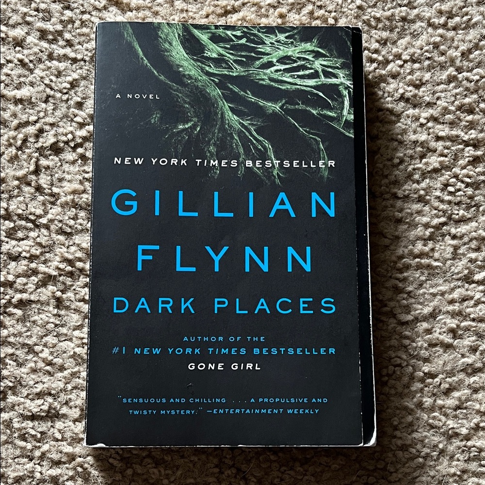 Dark Places by Gillian Flynn Paperback